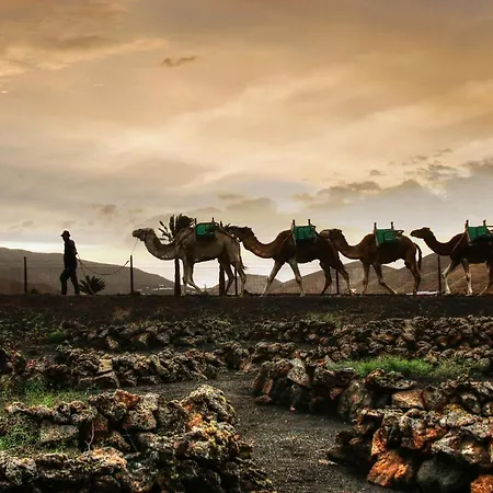 Appartement Home2book Stunning Ocean View,