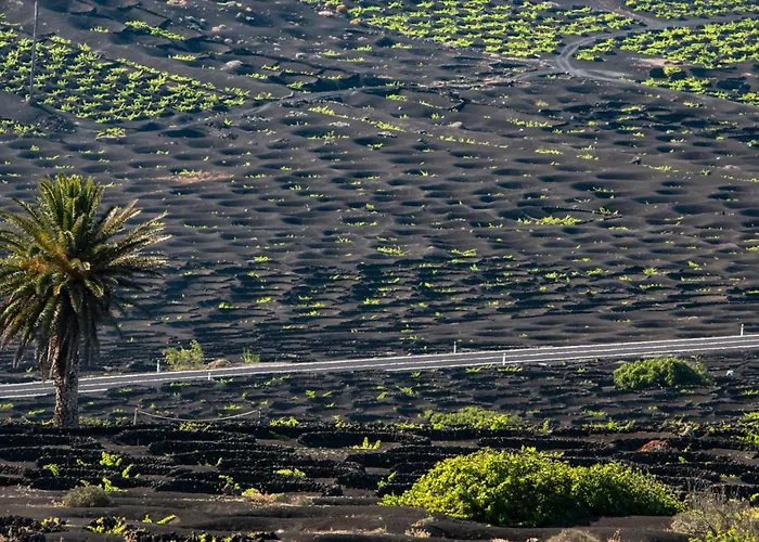 Διαμέρισμα Home2book Stunning Ocean View, *