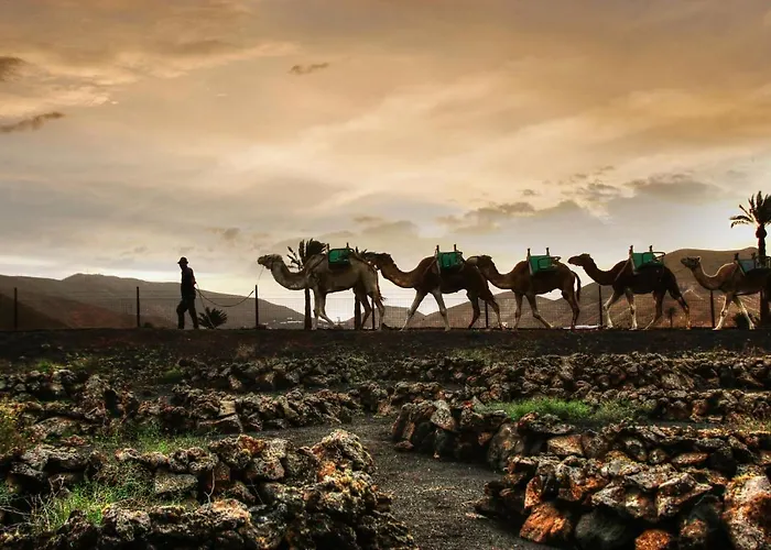 דירה Home2book Stunning Ocean View,